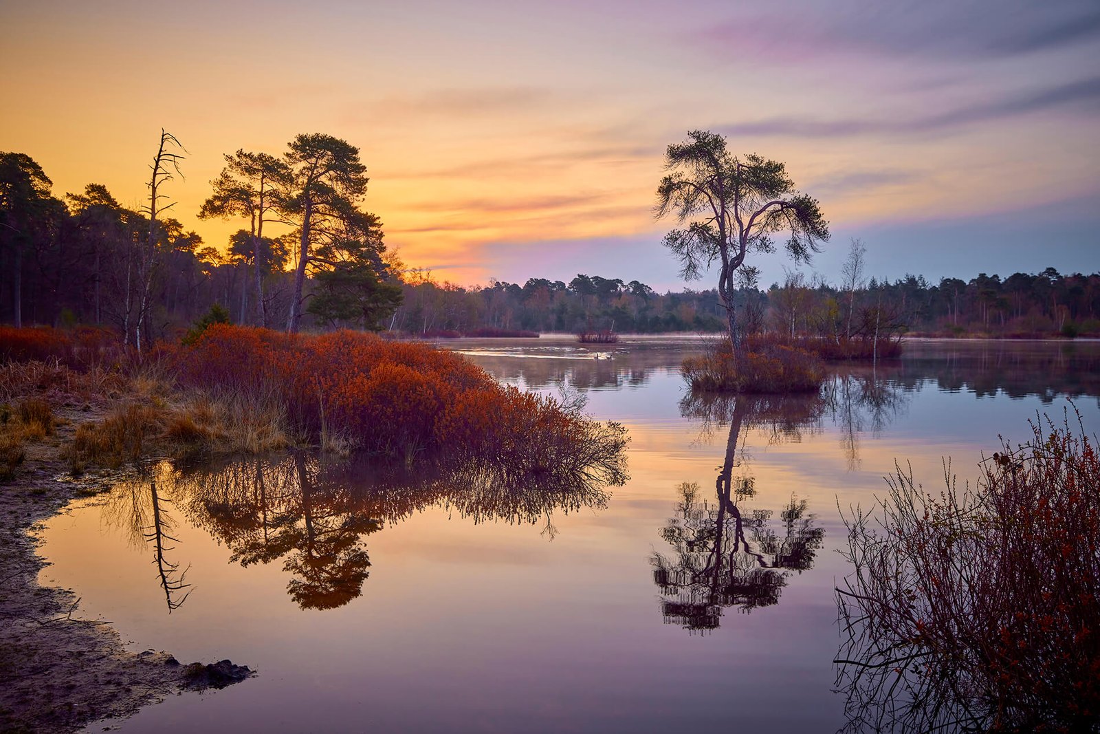 Oisterwijkse Bossen en Vennen